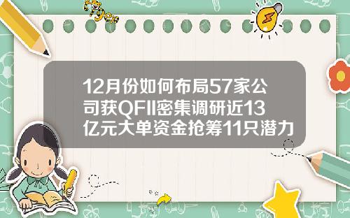 12月份如何布局57家公司获QFII密集调研近13亿元大单资金抢筹11只潜力股