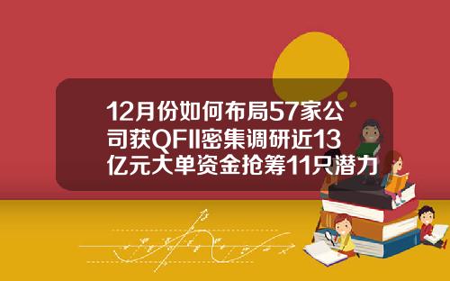 12月份如何布局57家公司获QFII密集调研近13亿元大单资金抢筹11只潜力股