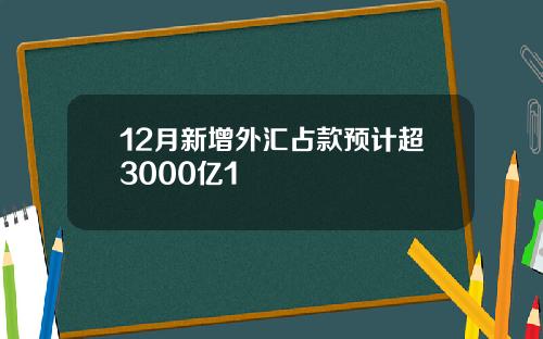 12月新增外汇占款预计超3000亿1