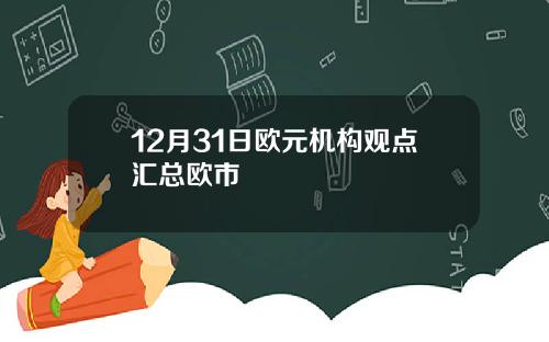 12月31日欧元机构观点汇总欧市