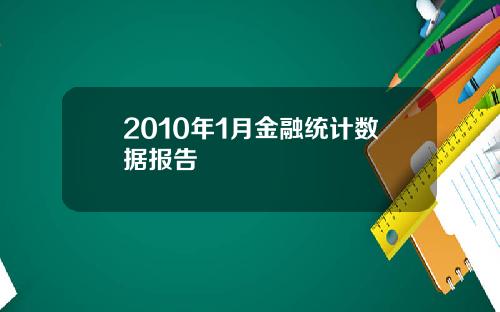 2010年1月金融统计数据报告