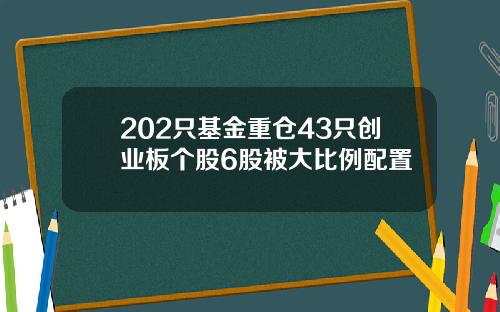 202只基金重仓43只创业板个股6股被大比例配置