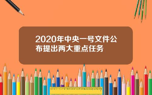 2020年中央一号文件公布提出两大重点任务