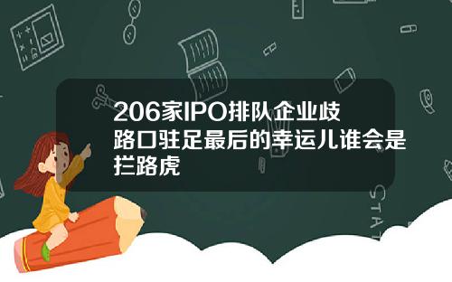 206家IPO排队企业歧路口驻足最后的幸运儿谁会是拦路虎