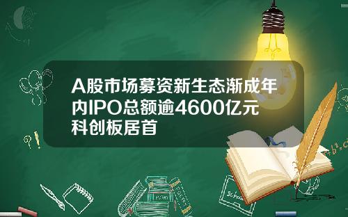 A股市场募资新生态渐成年内IPO总额逾4600亿元科创板居首