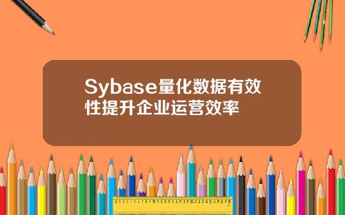 Sybase量化数据有效性提升企业运营效率