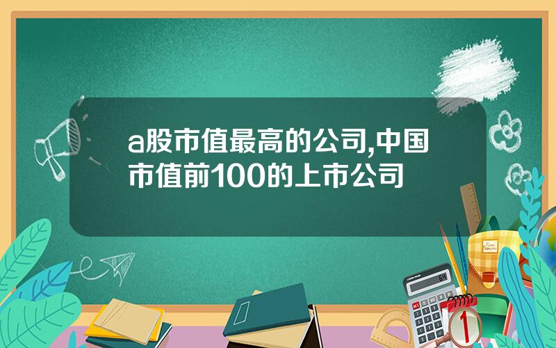 a股市值最高的公司,中国市值前100的上市公司