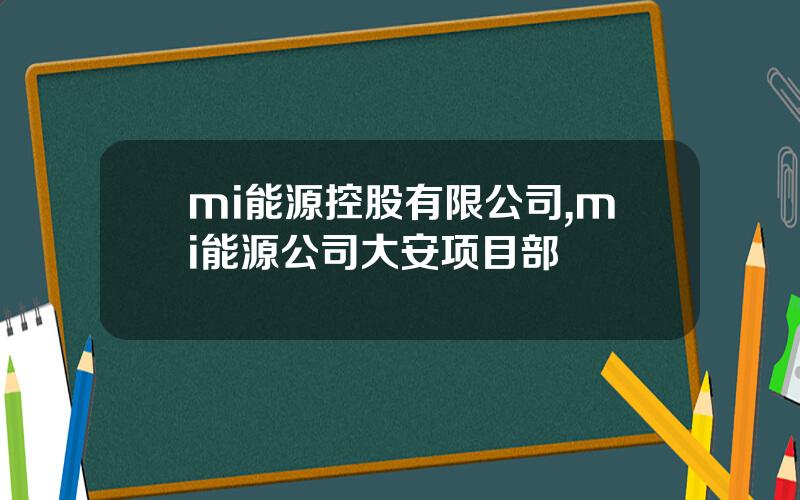 mi能源控股有限公司,mi能源公司大安项目部