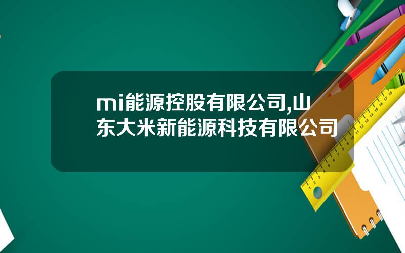 mi能源控股有限公司,山东大米新能源科技有限公司