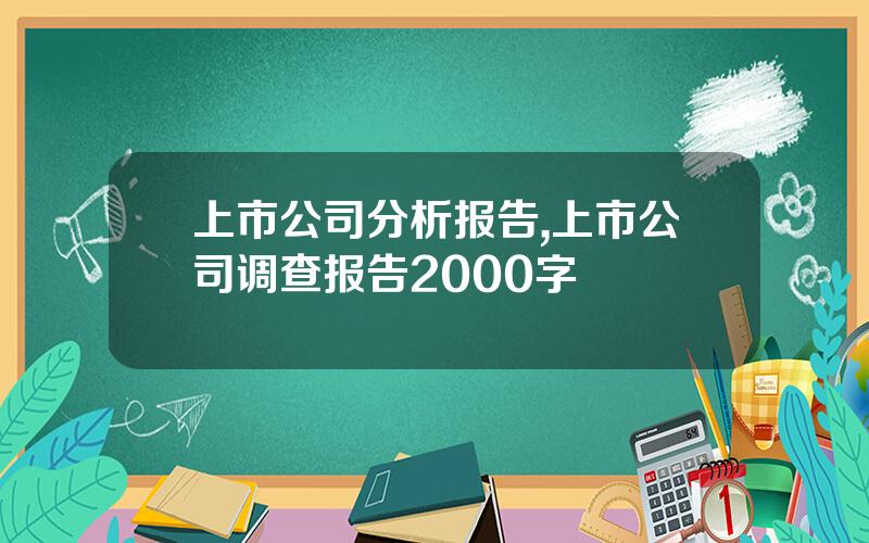 上市公司分析报告,上市公司调查报告2000字