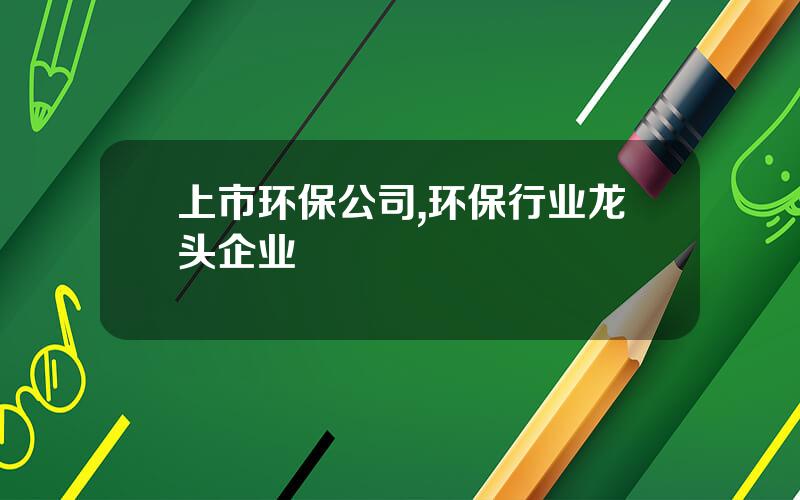 上市环保公司,环保行业龙头企业