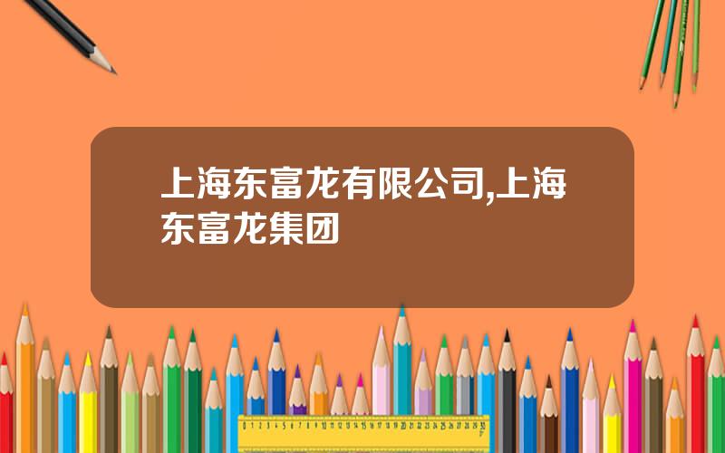 上海东富龙有限公司,上海东富龙集团
