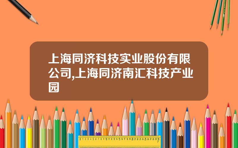 上海同济科技实业股份有限公司,上海同济南汇科技产业园