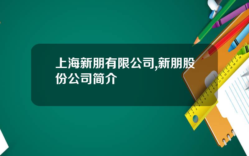 上海新朋有限公司,新朋股份公司简介
