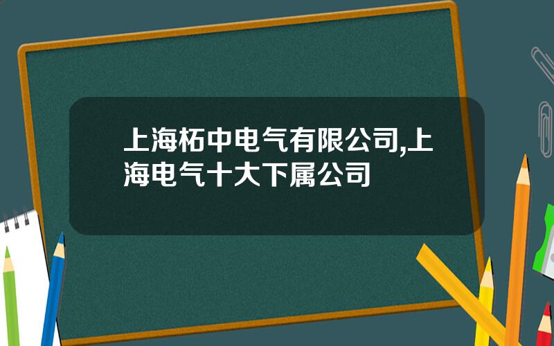 上海柘中电气有限公司,上海电气十大下属公司