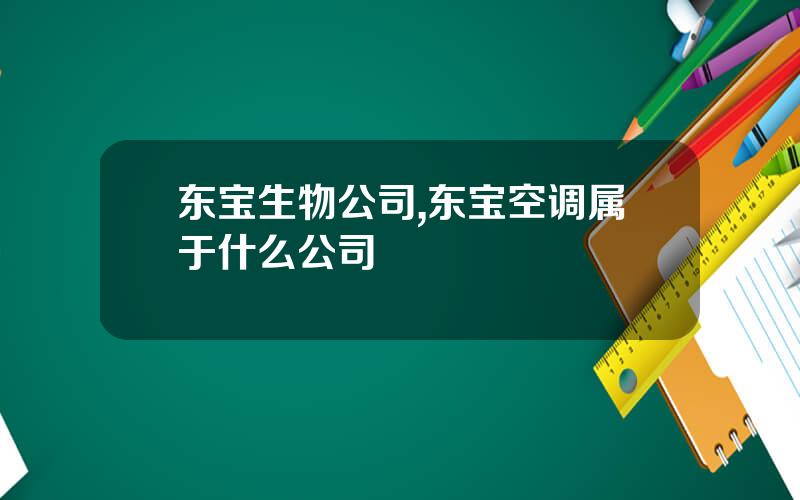东宝生物公司,东宝空调属于什么公司