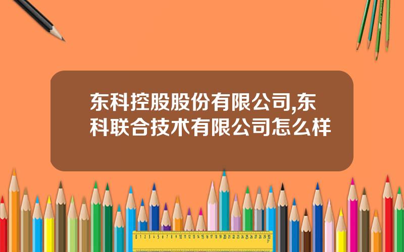 东科控股股份有限公司,东科联合技术有限公司怎么样