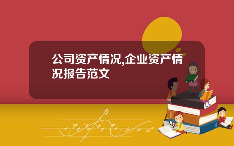 公司资产情况,企业资产情况报告范文