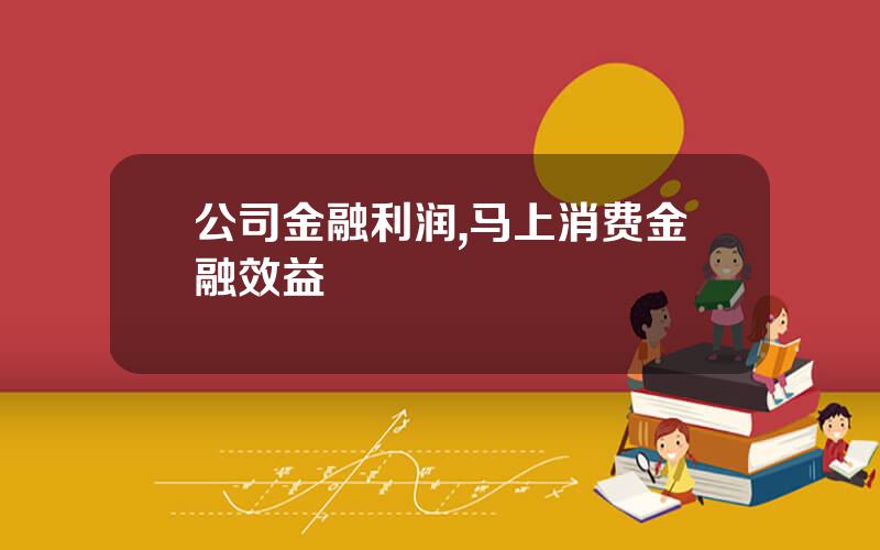 公司金融利润,马上消费金融效益
