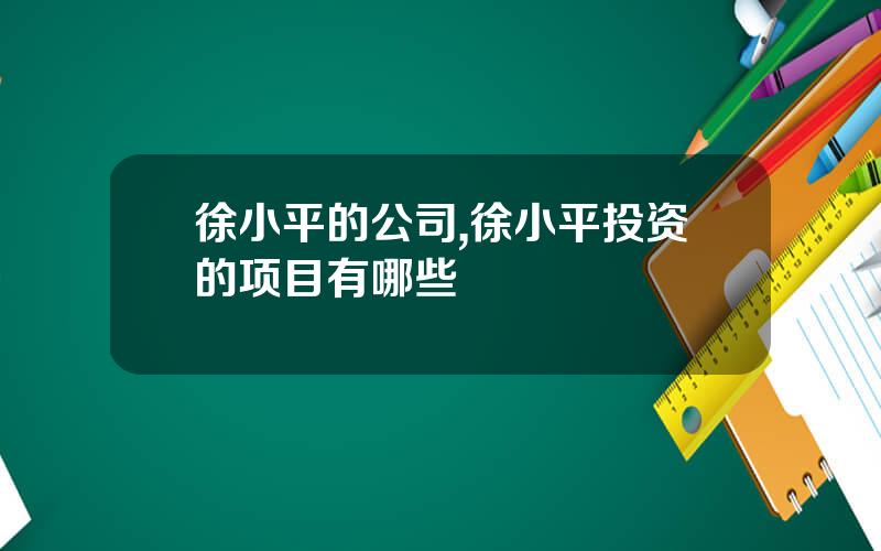 徐小平的公司,徐小平投资的项目有哪些