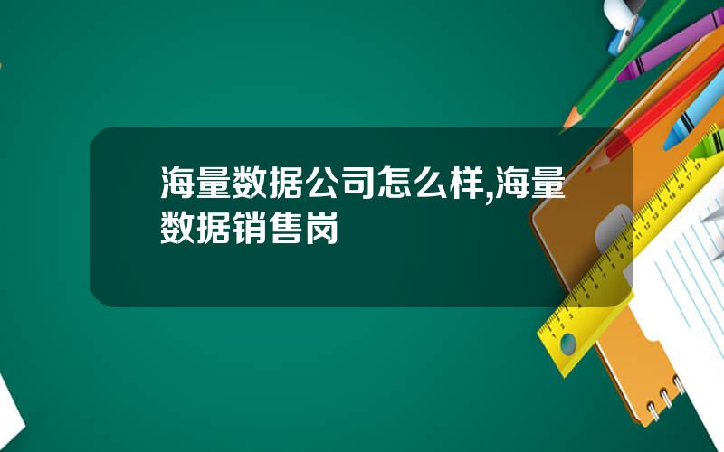 海量数据公司怎么样,海量数据销售岗